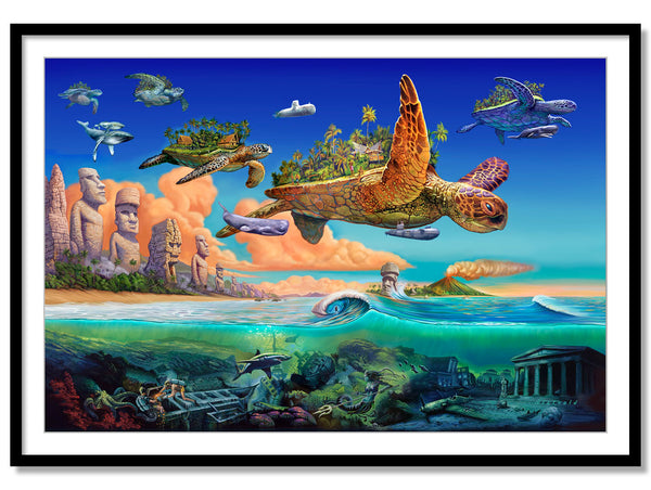 Flying Turtles