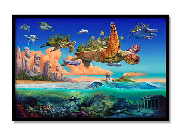 Flying Turtles