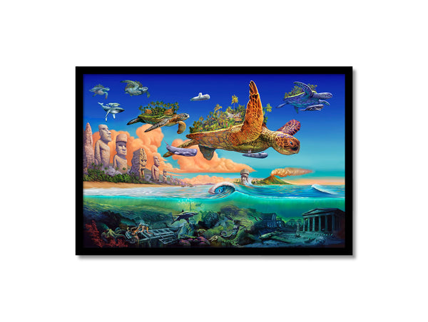 Flying Turtles