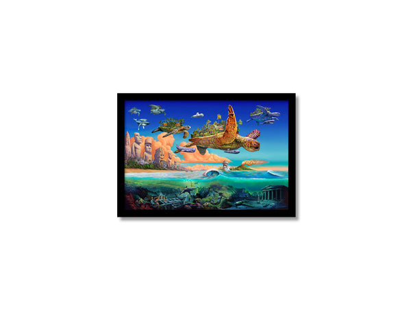 Flying Turtles