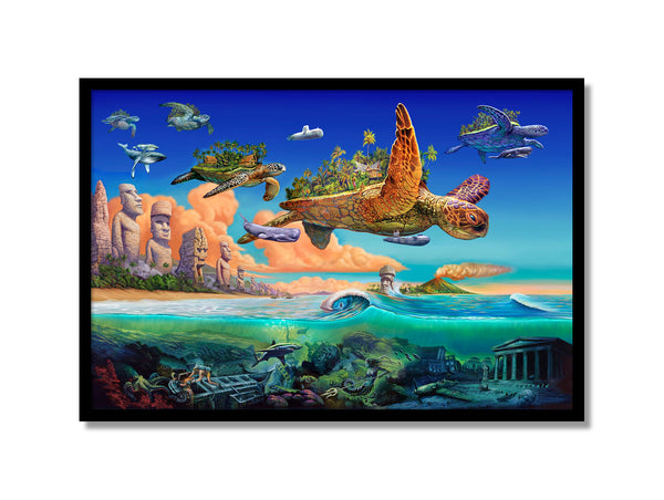 Flying Turtles