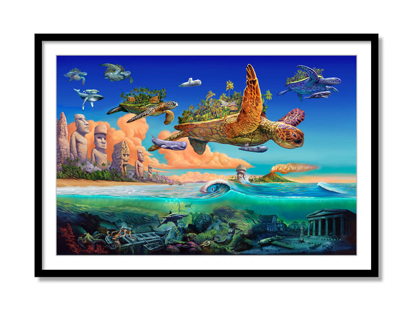 Flying Turtles