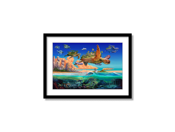 Flying Turtles