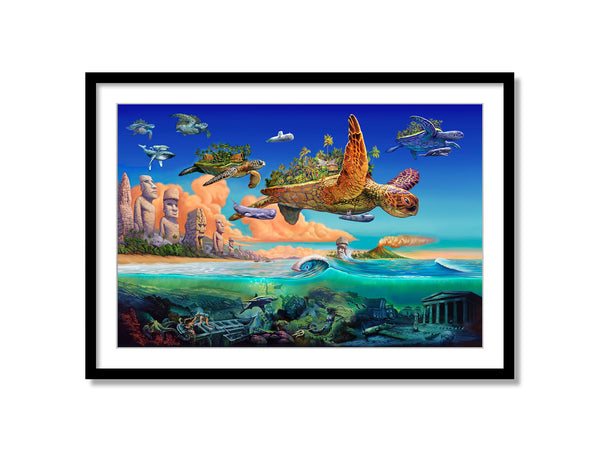 Flying Turtles