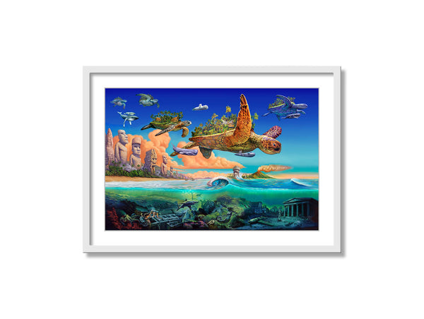 Flying Turtles