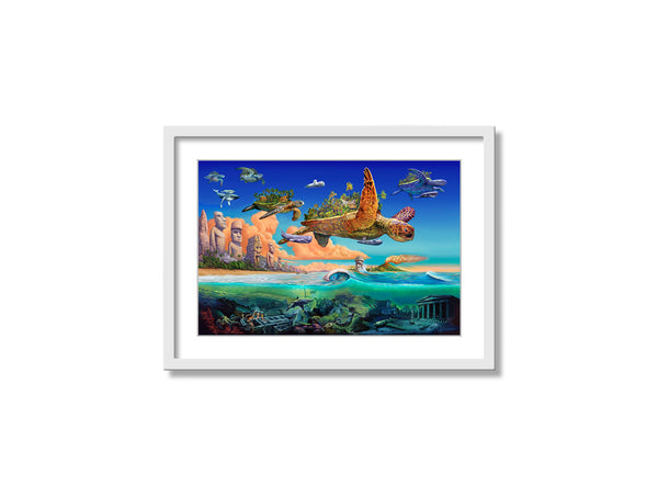 Flying Turtles