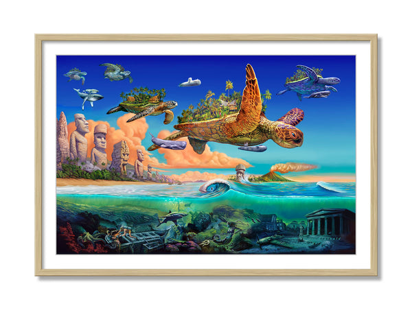 Flying Turtles