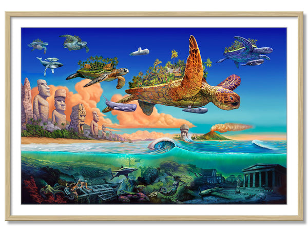 Flying Turtles