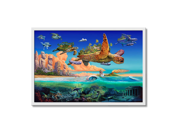 Flying Turtles