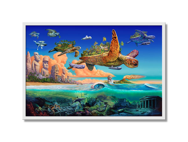Flying Turtles