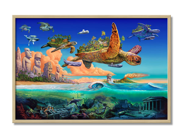 Flying Turtles