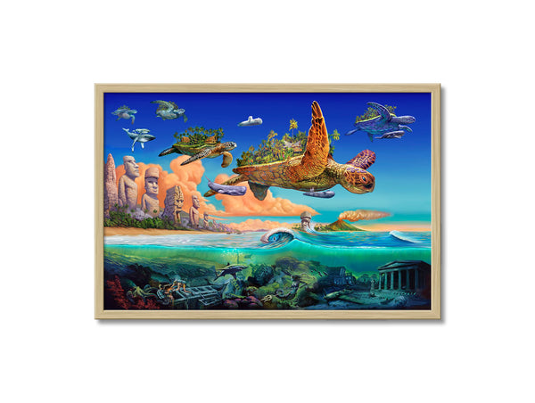 Flying Turtles