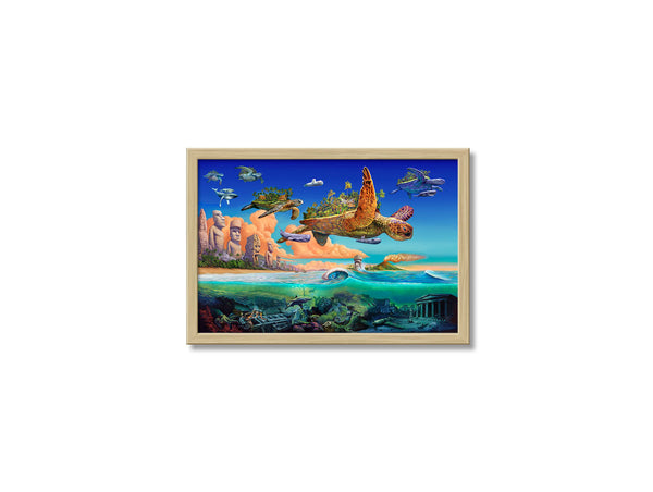 Flying Turtles