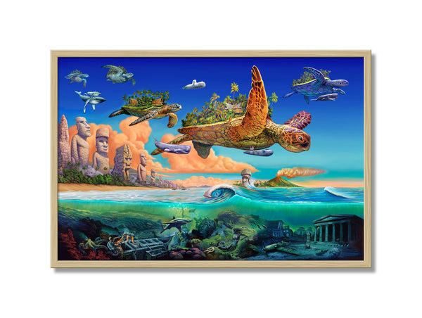 Flying Turtles