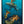 Reef