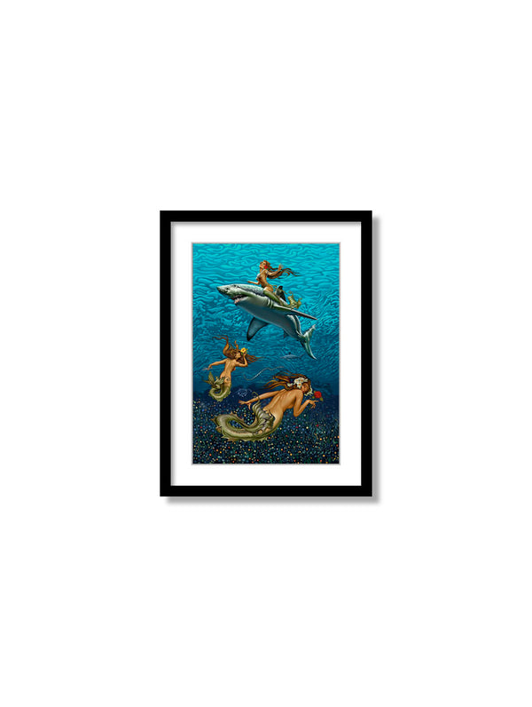 Reef