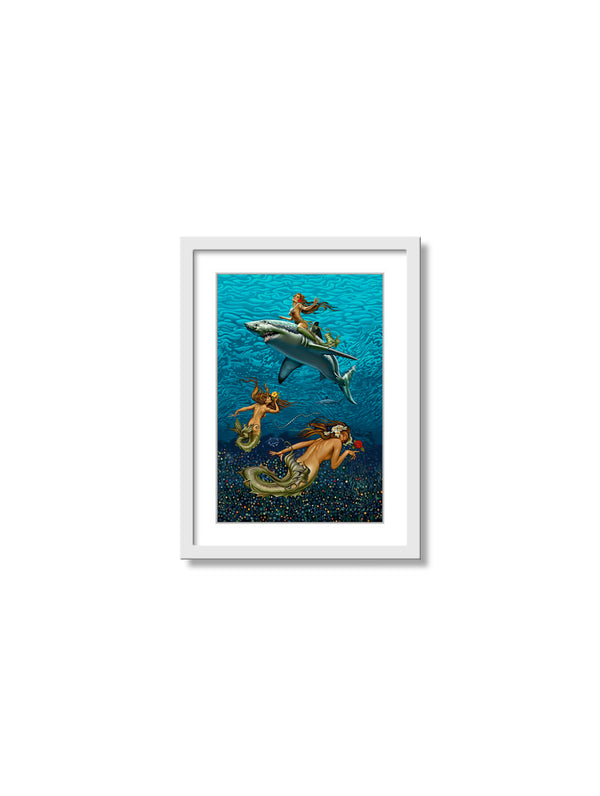 Reef